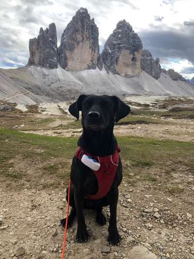 Fotochallenge Nr 107-Beitrag-Bild