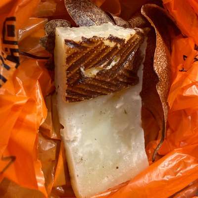 Giftköder-Giftköder?-Bild