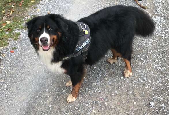 23. Collagen-Challenge: Portraits-Beitrag-Bild