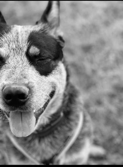 Foto-Challenge 76: Foto in Schwarz-Weiss-Beitrag-Bild