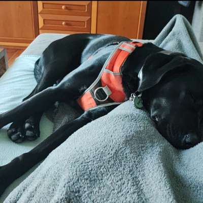 Foto Challenge Nr. 134-Beitrag-Bild