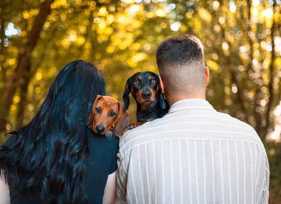 Hundetreffen-Hundetreffen-Bild