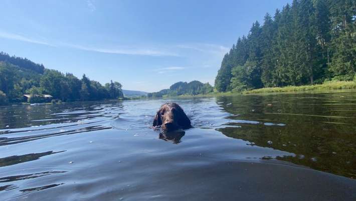 Fotowettbewerb Natur-Beitrag-Bild