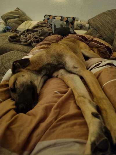 Ungewollte Streicheleinheiten etc.-Beitrag-Bild