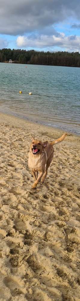 Dogorama-Monats-Challenge-Mai "Wasser"-Beitrag-Bild