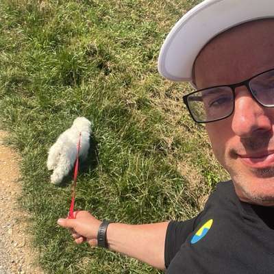 Hundetreffen-Spielerunde Welpen Vilsbiburg & Umgebung-Bild