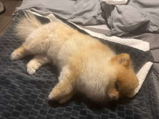 Verlustangst-Beitrag-Bild