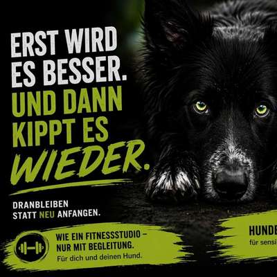 Giftköder-Offenes Training – damit es  bleibt-Bild