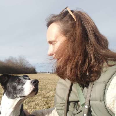 Hundeschulen-Sensitiv-dogwork-Bild