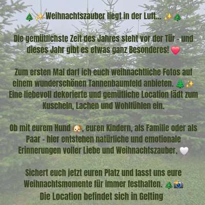 Hundetreffen-Fotoshooting-Bild