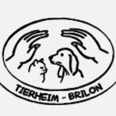 Tierheime-Tierheim Brilon-Bild