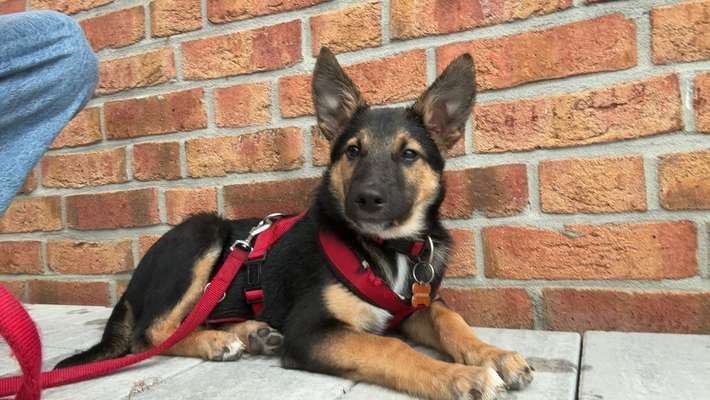 Was hat euch heute genervt?-Beitrag-Bild