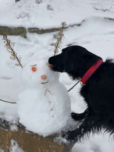 14. Farbenfoto-Challenge "Weiss"-Beitrag-Bild