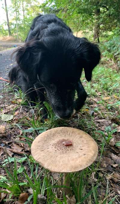 Herbst Bilder-Beitrag-Bild