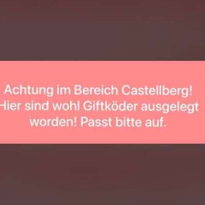 Giftköder-Giftköder-Bild