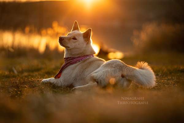 Fotowettbewerb Natur-Beitrag-Bild