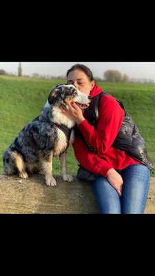 Hundetreffen-Welpen treff-Profilbild