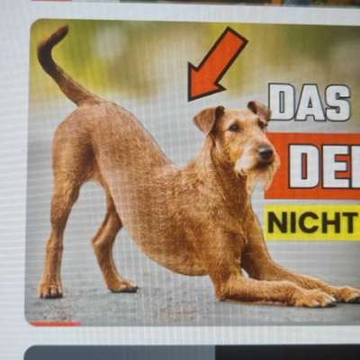 aktuelles Foto Gruppe Pankreatitis / Bauchspeicheldrüseninsuffizienz