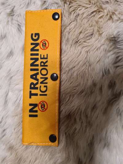 Was hat euch heute genervt?-Beitrag-Bild