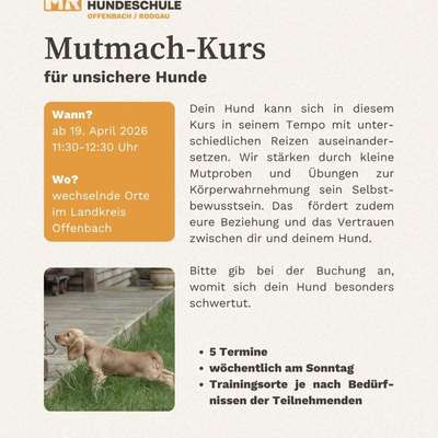 Giftköder-Mutmach-Kurs-Bild