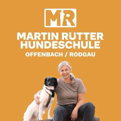 Hundeschulen-Martin Rütter Hundeschule Offenbach / Rodgau-Bild