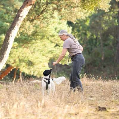 Giftköder-Mein Angebot-Bild