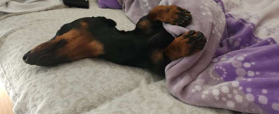 Die unbequemsten und lustigsten Schlafpositionen-Beitrag-Bild