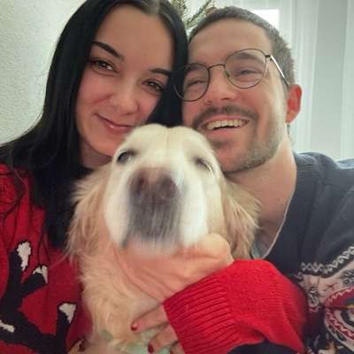 Hundetreffen-Gemeinsame Gassirunden