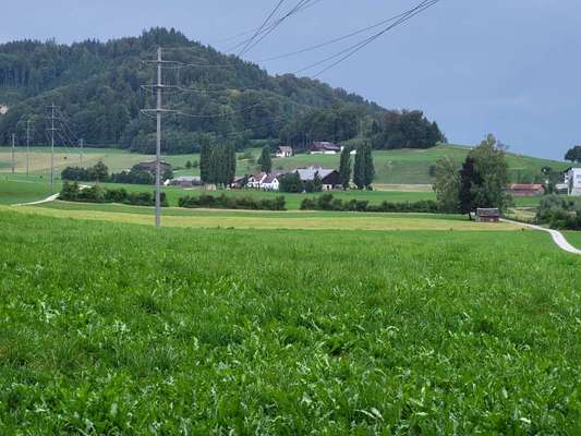 Hundeauslaufgebiet-Botsbergerriet-Bild