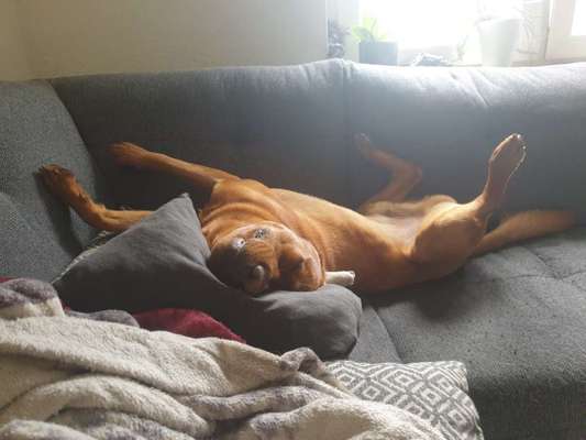 Ratespaß geht weiter-Beitrag-Bild