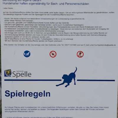 Hundeauslaufgebiet-Hundefreilaufwiese-Bild