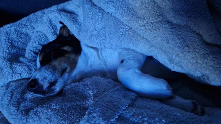 Was hat euch heute gefreut?-Beitrag-Bild