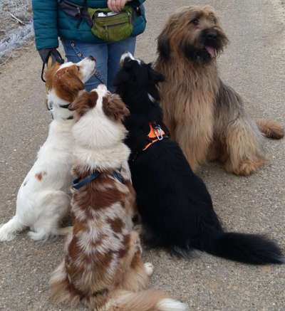 Fotochallenge 69-Beitrag-Bild