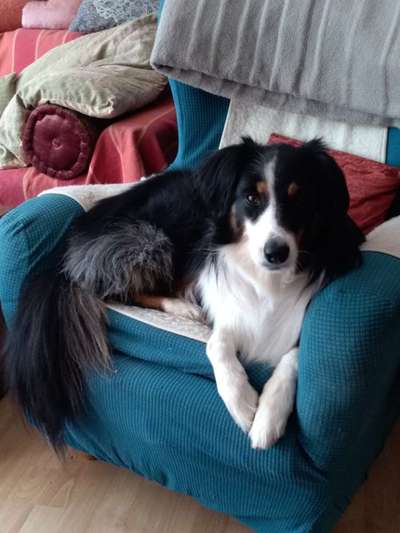 Lieblingsbild-Beitrag-Bild