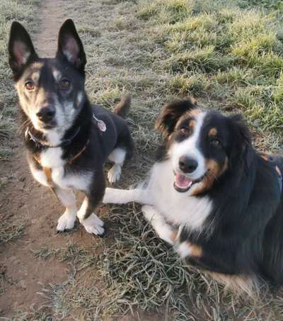 Best friends day-Beitrag-Bild