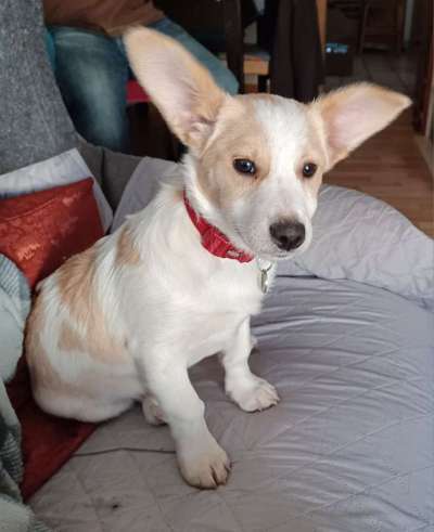 Doppelgänger gesucht !-Beitrag-Bild