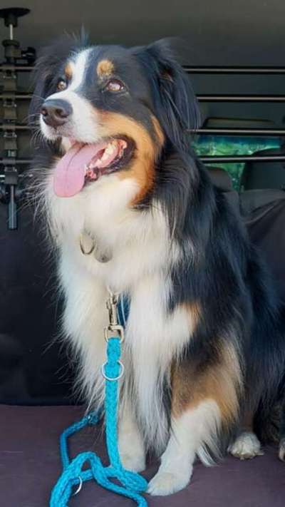 Doppelgänger gesucht !-Beitrag-Bild