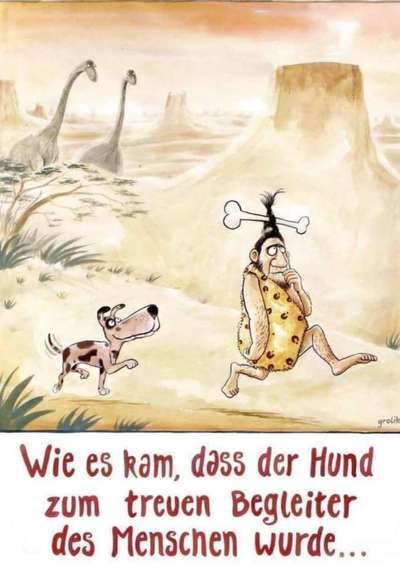 Hunde Memes-Beitrag-Bild