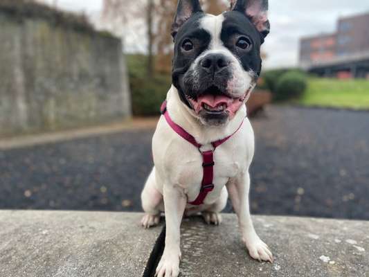 Fotochallange Nr. 57     PORTRÄT.   Beendet!!!!!!!!-Beitrag-Bild