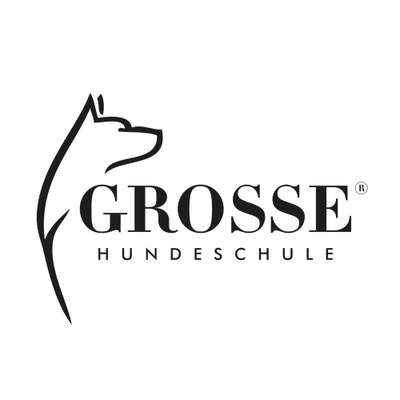 Hundeschulen-GROSSE-Hundeschule-Bild