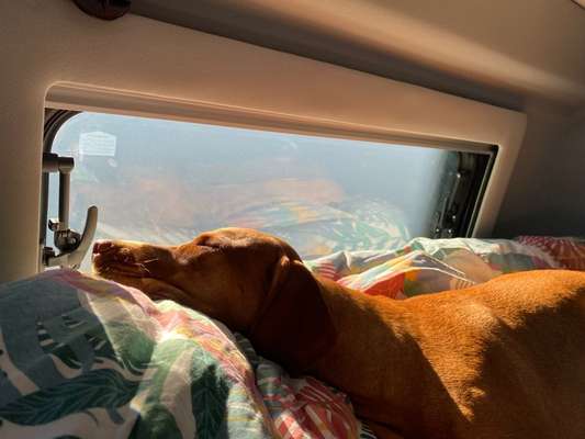 Foto Challenge Nr. 134-Beitrag-Bild