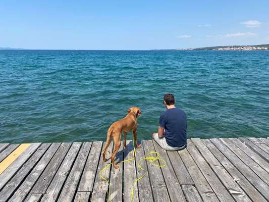 Kroatien und Montenegro mit Hund!-Beitrag-Bild