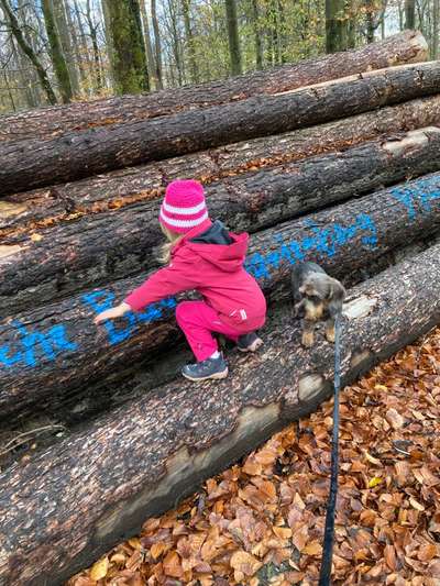 27. Handy Fotochallenge-Beitrag-Bild