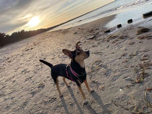 Fotowettbewerb Natur-Beitrag-Bild