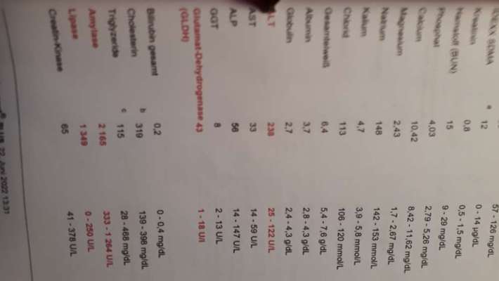 Chronische Pankreatitis-Beitrag-Bild