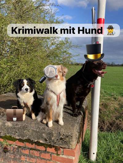 Hundetreffen-Krimiwalk mit Hund-Bild