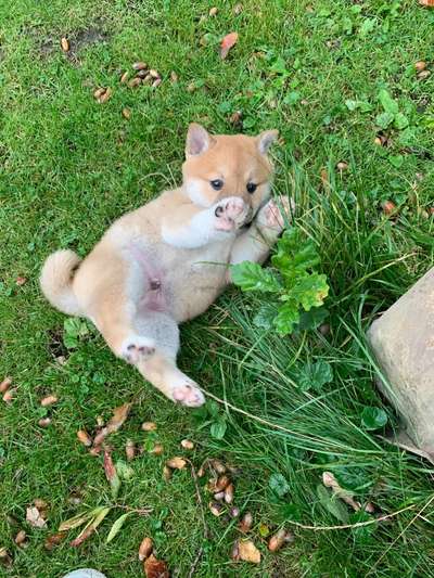 Sie werden so schnell erwachsen ...-Beitrag-Bild