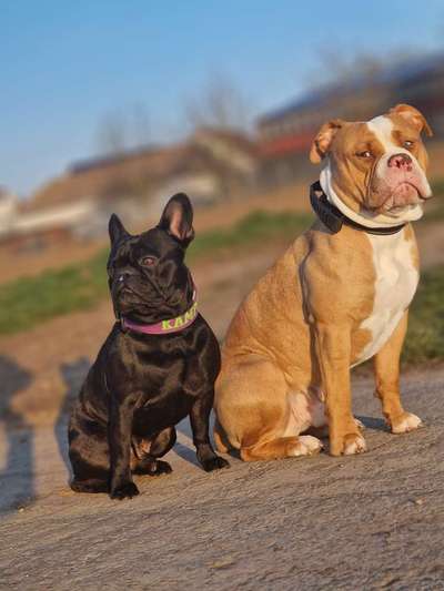 Lieblings Fotos-Beitrag-Bild