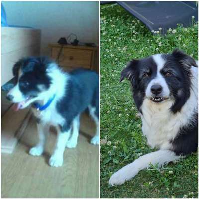 Sie werden so schnell erwachsen ...-Beitrag-Bild