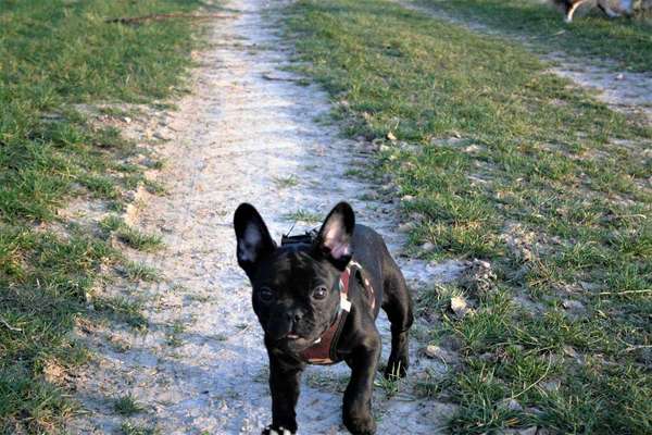 Un...scharf Bilder-Beitrag-Bild